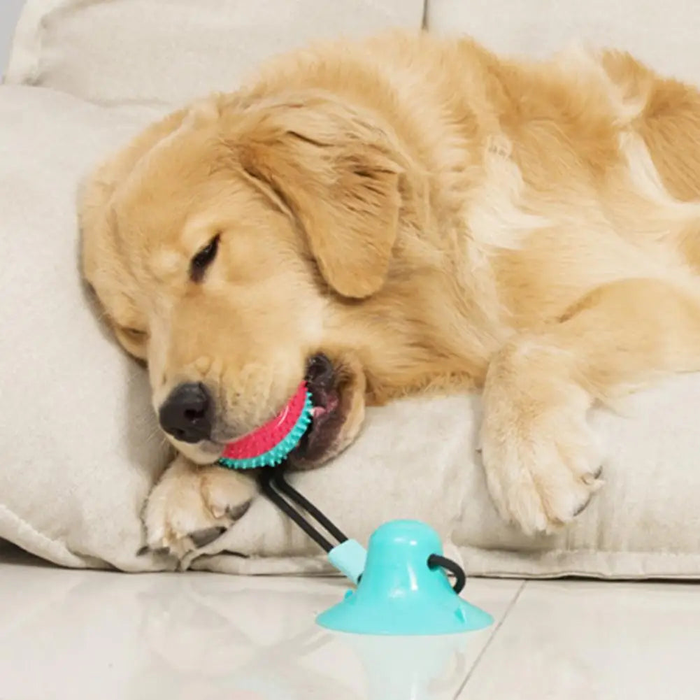 Ultra Tough Suction Tug Toy for Large Dogs