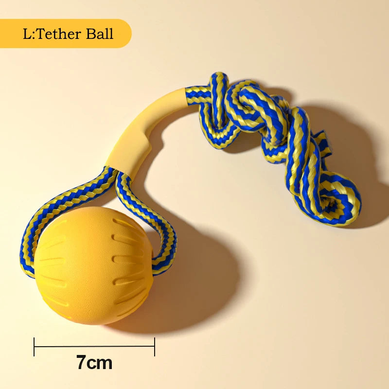 Durable Dog Toy Set – Flying Disc, Ball, Tug & Pull Ring