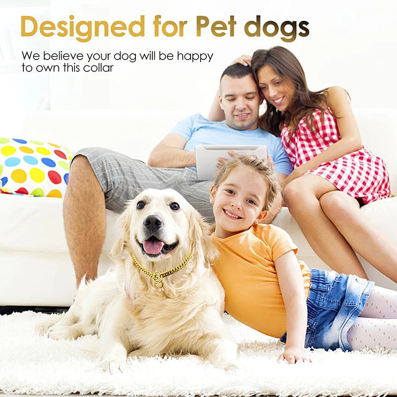 Gold Chain Dog Collar for Strong Dogs – Stainless Steel