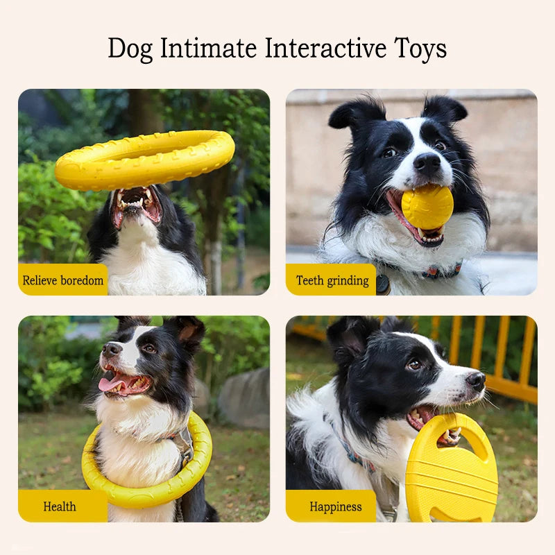 Durable Dog Toy Set – Flying Disc, Ball, Tug & Pull Ring