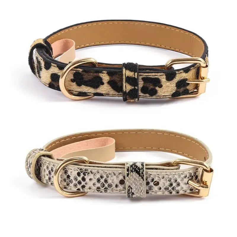 Snake Printed Dog Collar