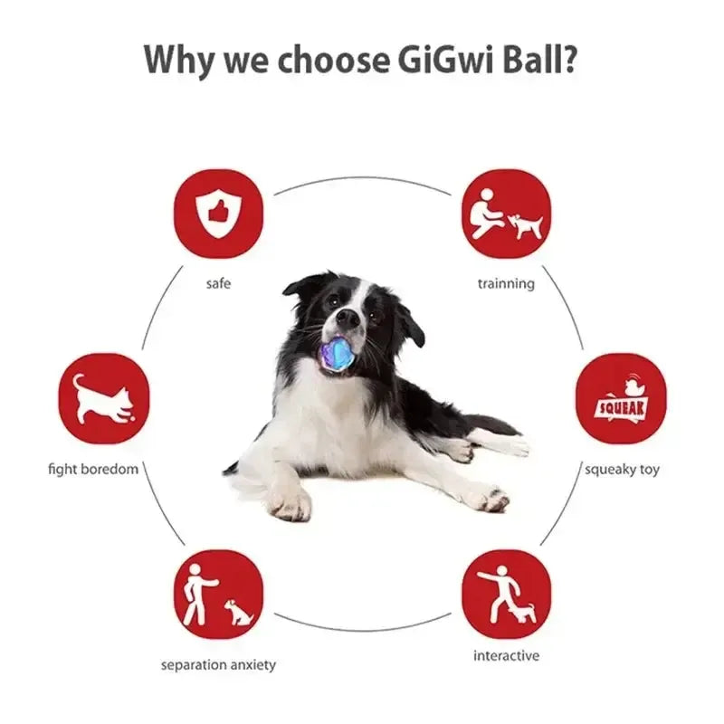 Squeaky Bouncy Dog Ball
