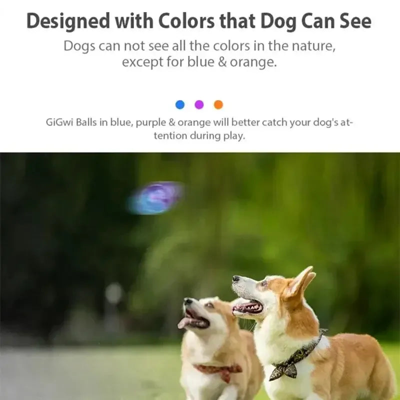 Squeaky Bouncy Dog Ball