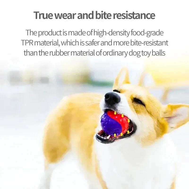 Squeaky Bouncy Dog Ball