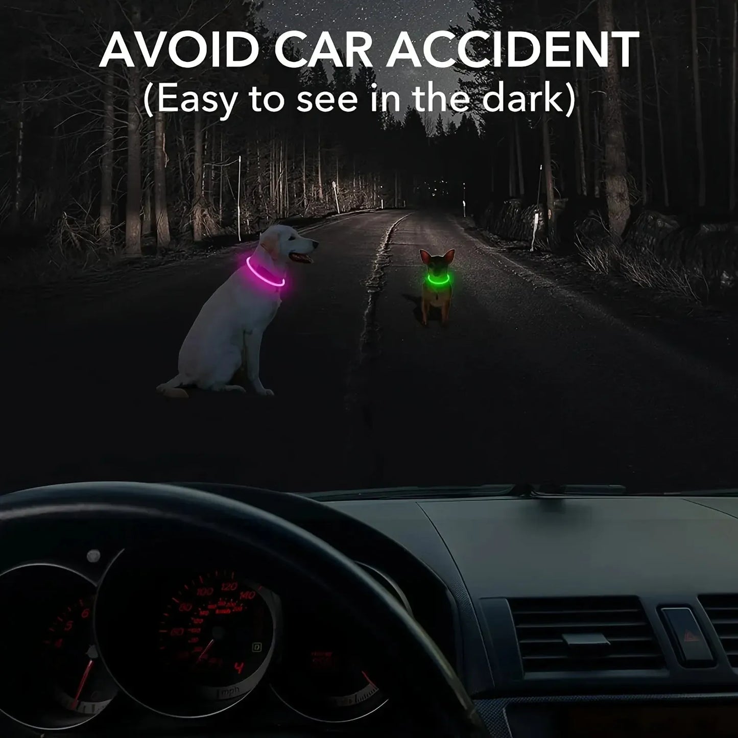 USB Rechargeable LED Dog Collar – Adjustable Glow & Cut-to-Fit