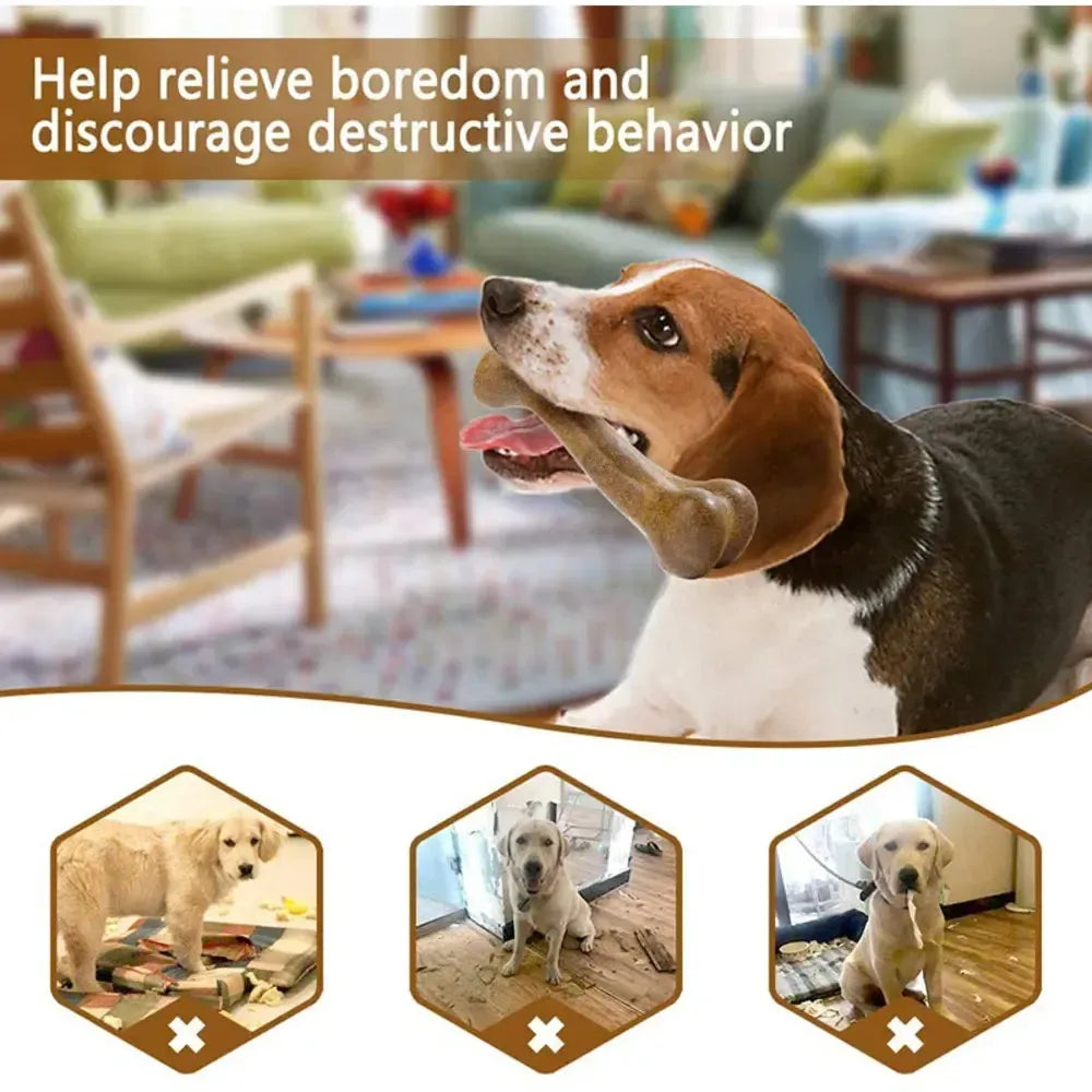 Ultra-Durable Eco-Friendly Chew Bone