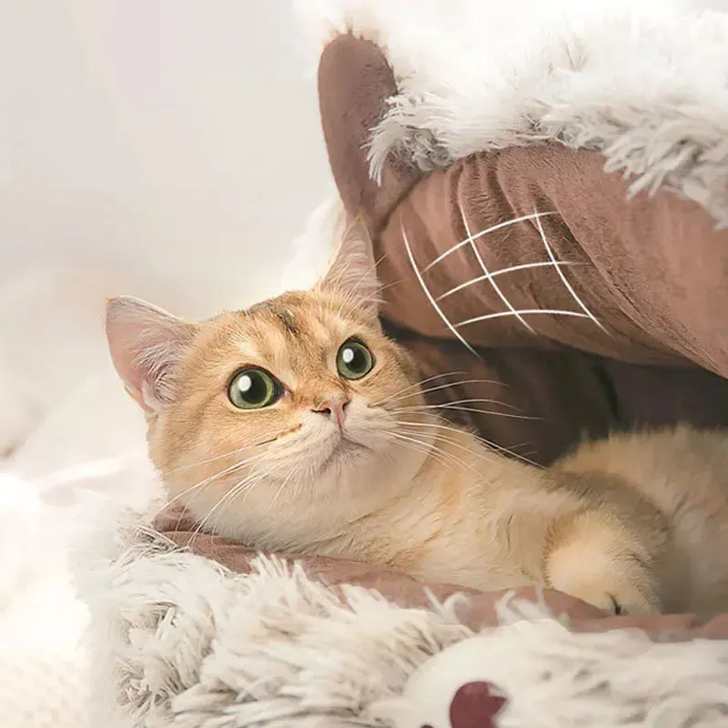 Washable Dog Bed Basket With Removable Cushion
