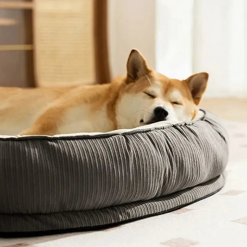 Washable Orthopedic Memory Foam Velvet Dog Bed Small Medium