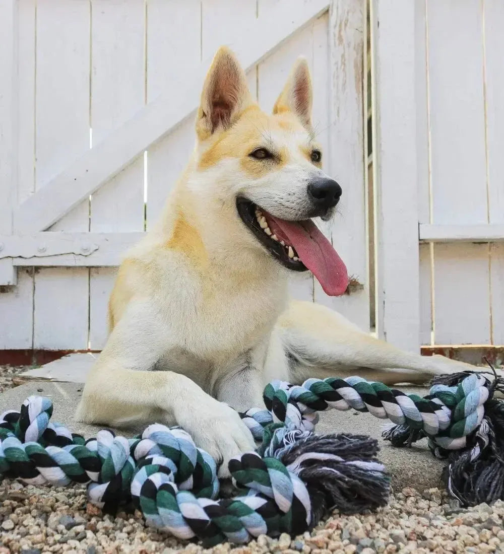 XXL Rope Toy for Giant Dogs – Indestructible Chew & Tug