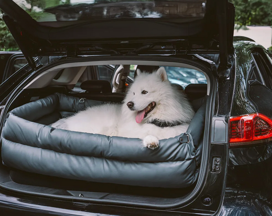 Travel Anxiety? Dog Car Seats That Help Nervous Dogs