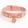 Designer dog collar
