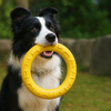 Interactive dog toys