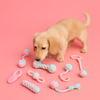 Enrichment Dog Toys​