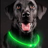 Light up dog collar