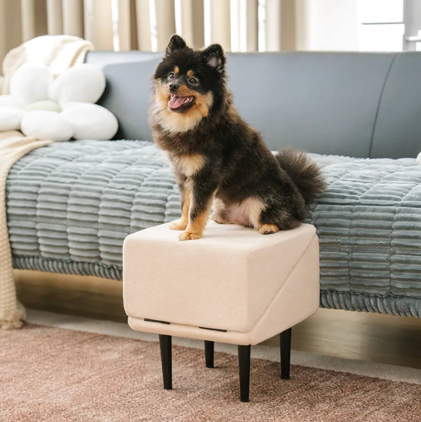 2-in-1 Convertible Wooden Dog Ramp