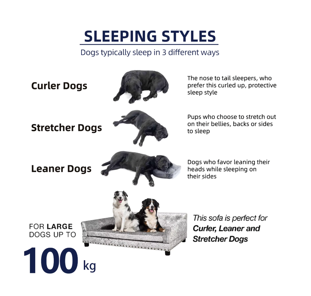 2XL Luxury Orthopedic Dog Sofa Bed | Washable & Waterproof