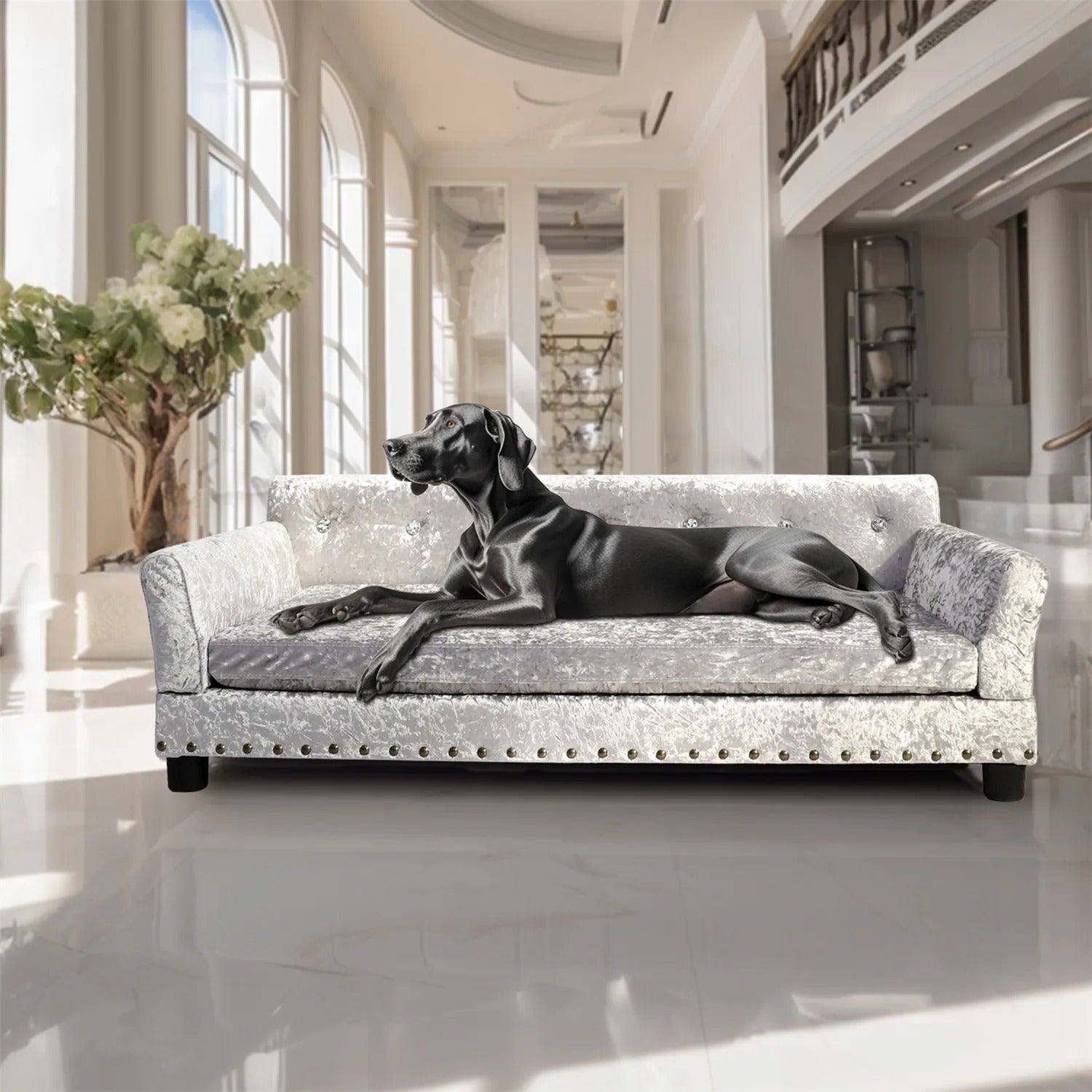2XL Luxury Orthopedic Dog Sofa Bed | Washable & Waterproof