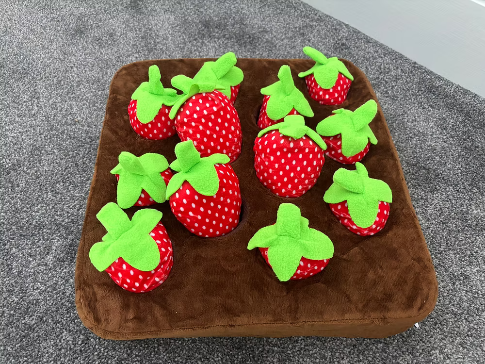 Interactive Strawberry Snuffle Mat Enrichment