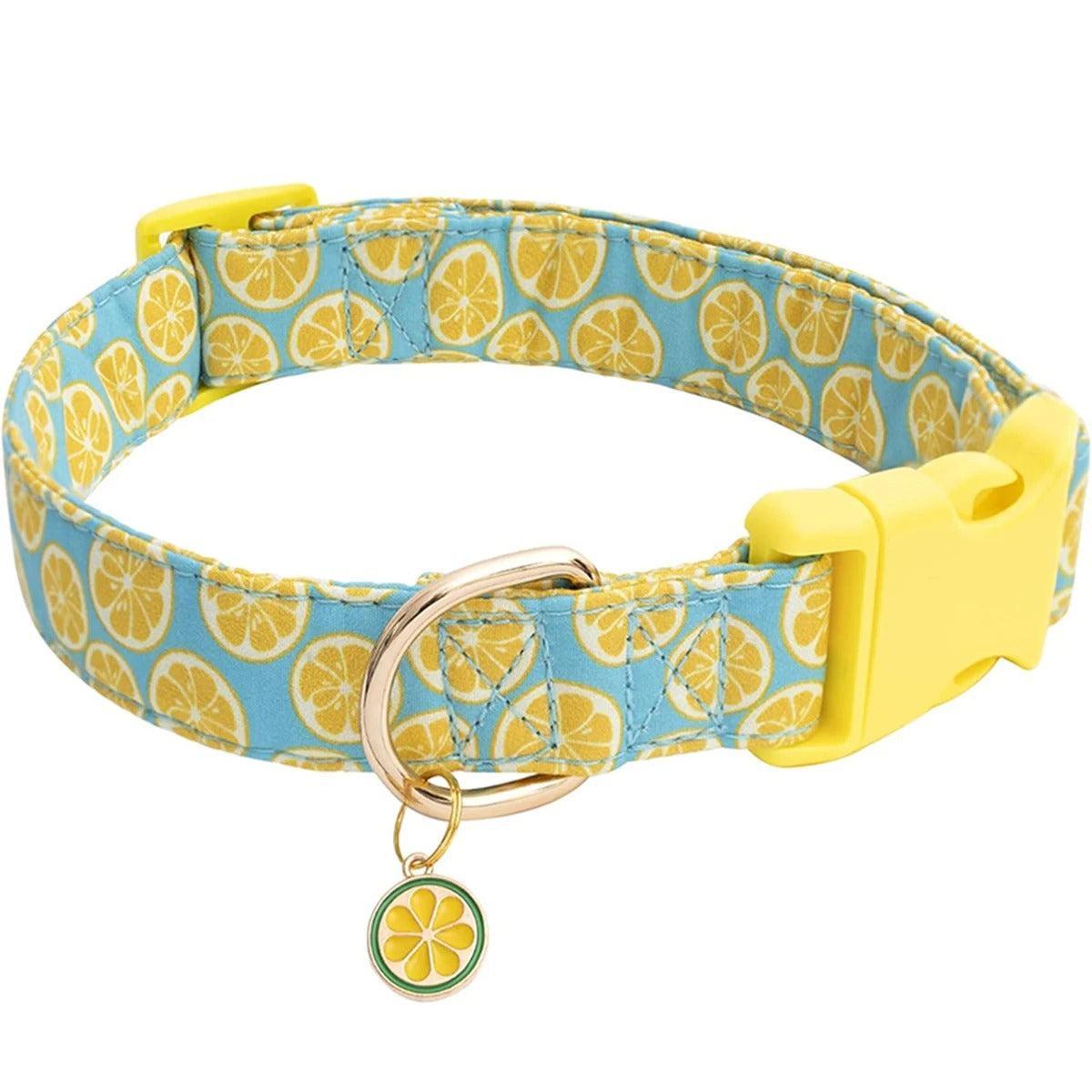 Adjustable Fruit Print Dog Collar with Cute Charm Tag