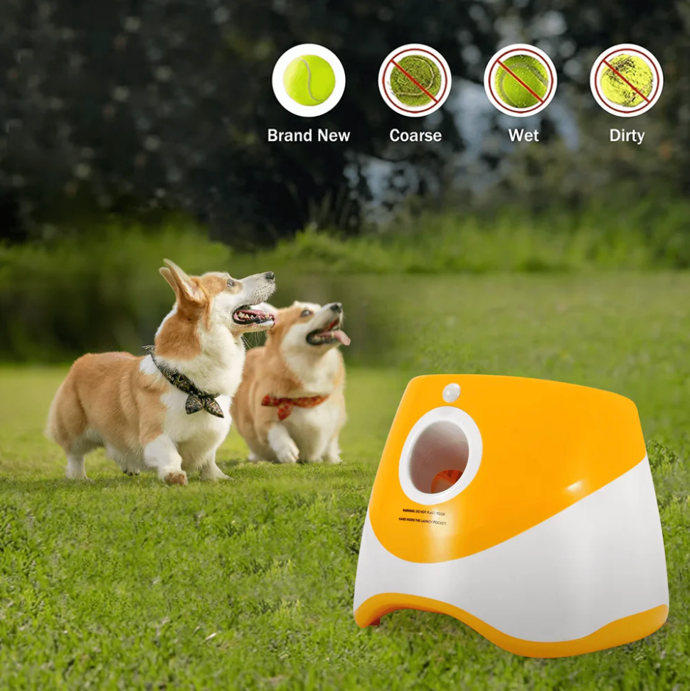Automatic Dog Ball Launcher