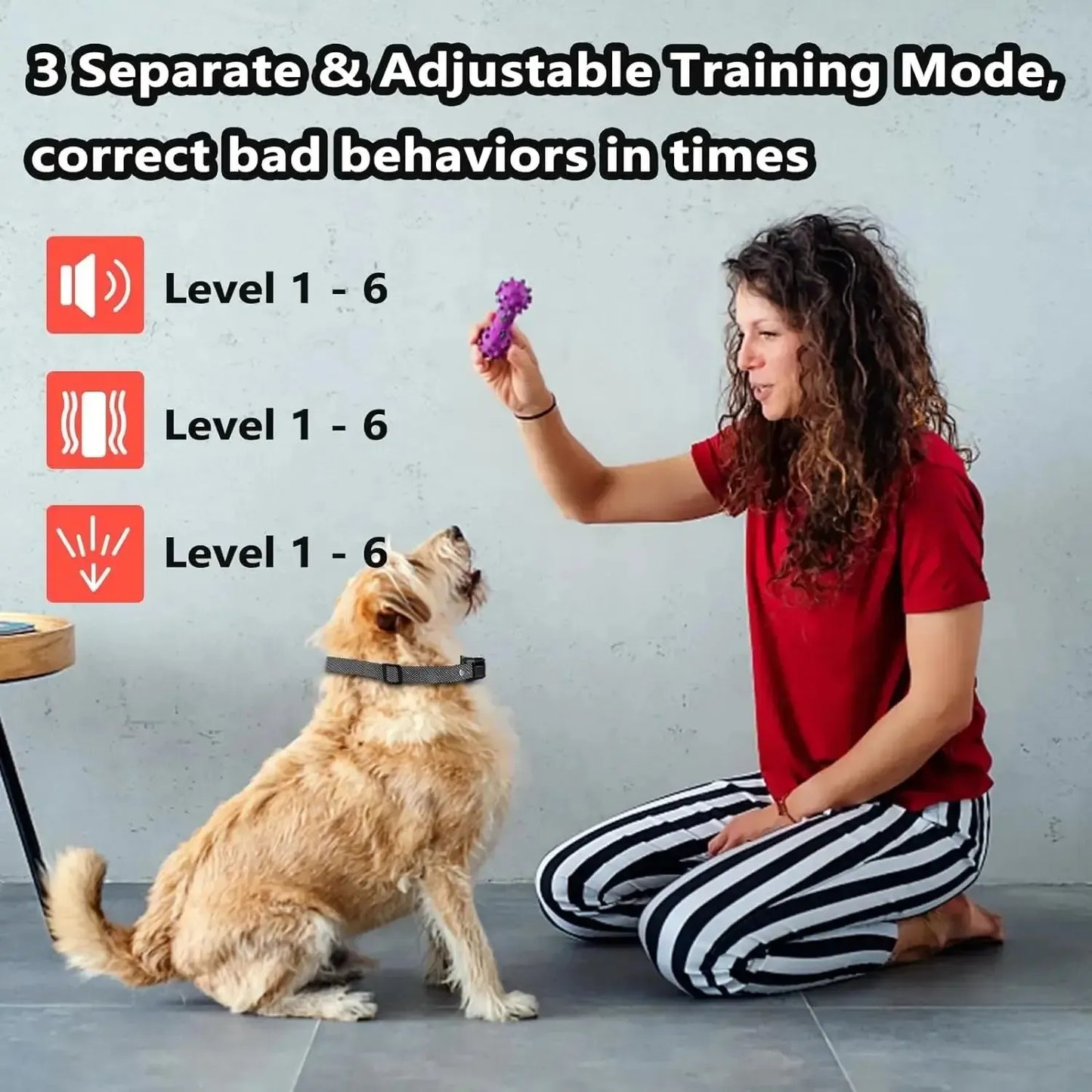 Bark Collar for a Dog – Humane Spray Remote Trainer