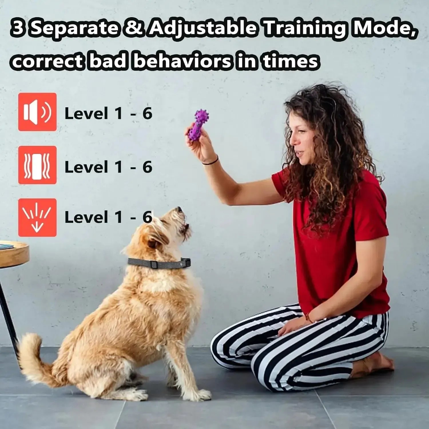 Bark Collar for a Dog – Humane Spray Remote Trainer