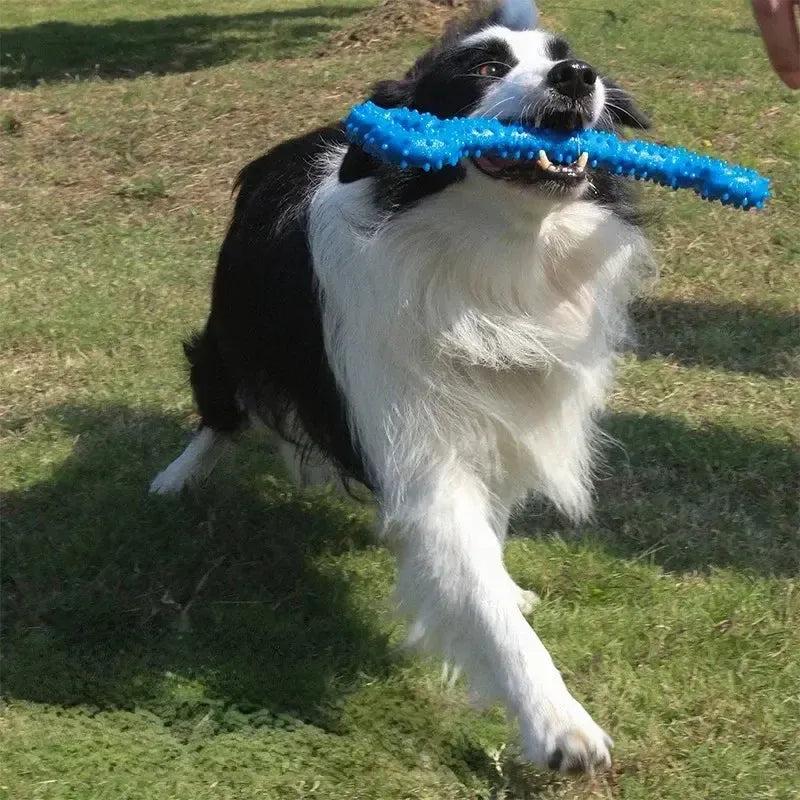 Bite Resistant Rubber Toy for Aggressive Chewers