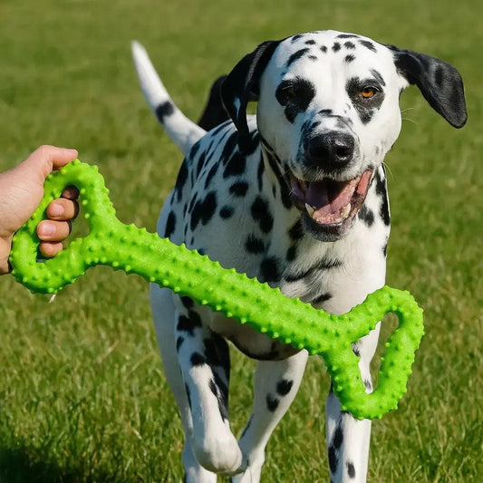 Bite Resistant Rubber Toy for Aggressive Chewers