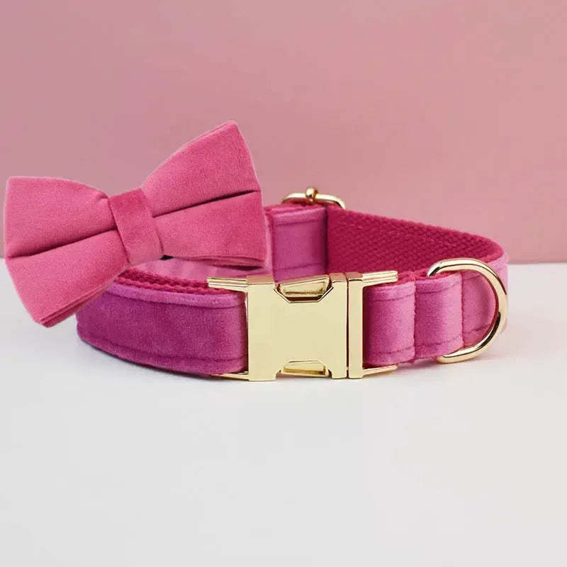Bright Pink Velvet Dog Collar