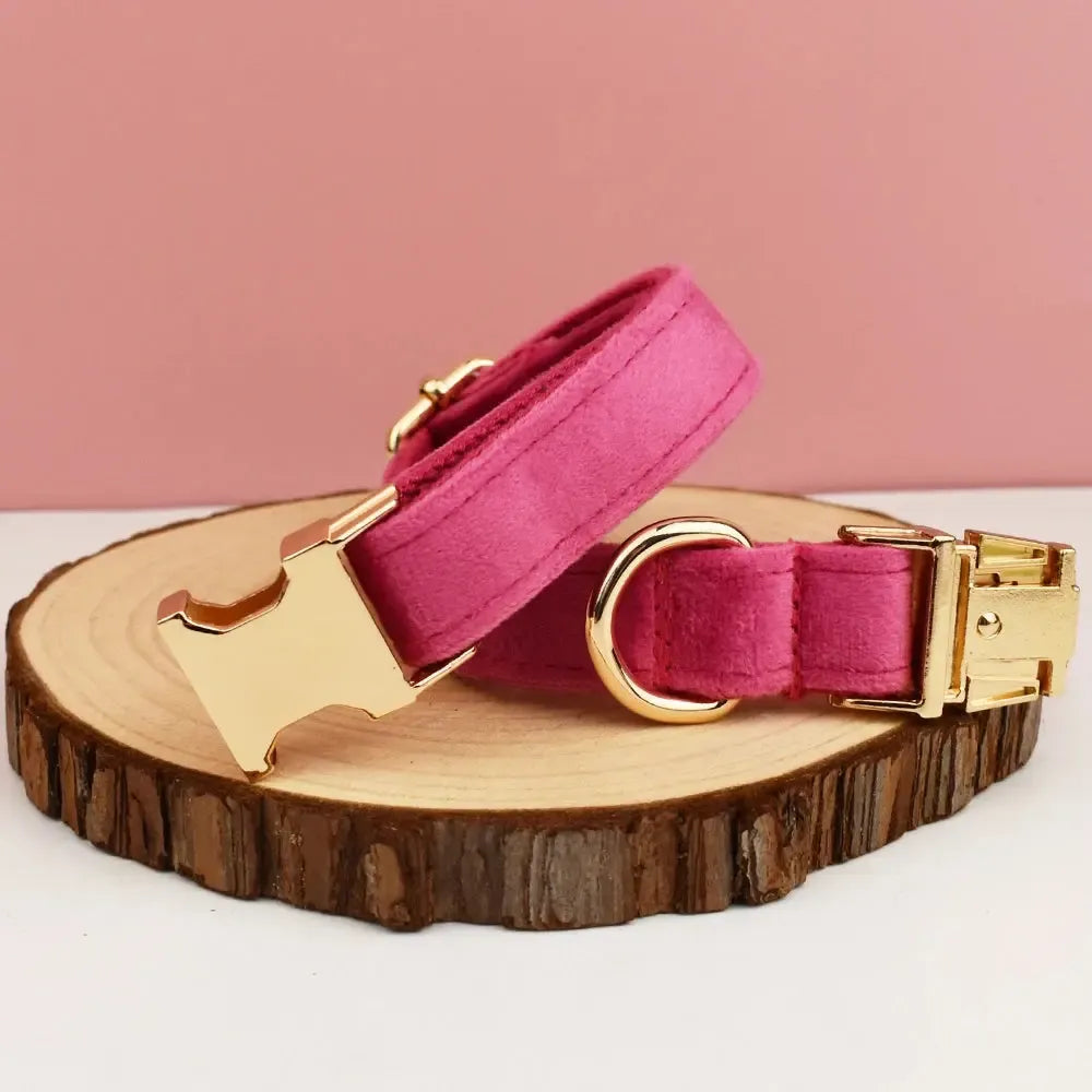 Bright Pink Velvet Dog Collar