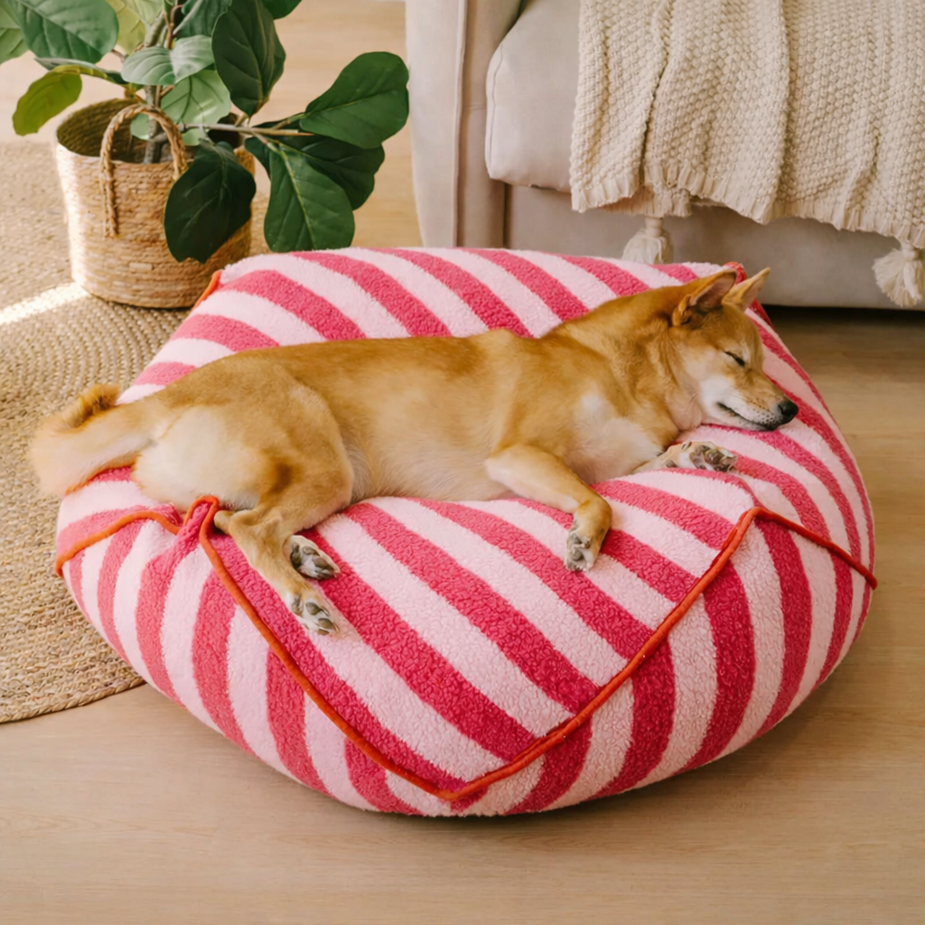 Calming Cloud Bean Bag Dog Bed