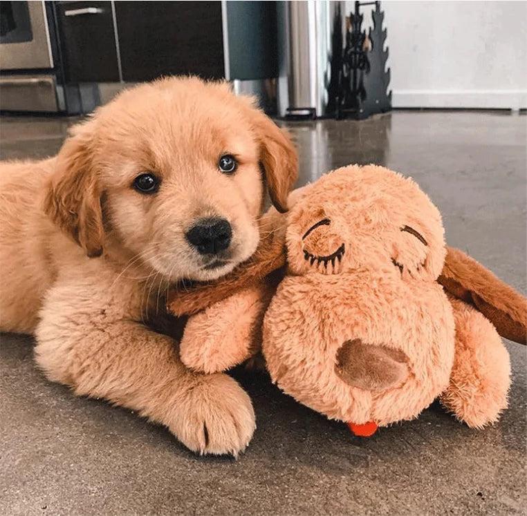 Calming Heartbeat Plush Toy for Puppies