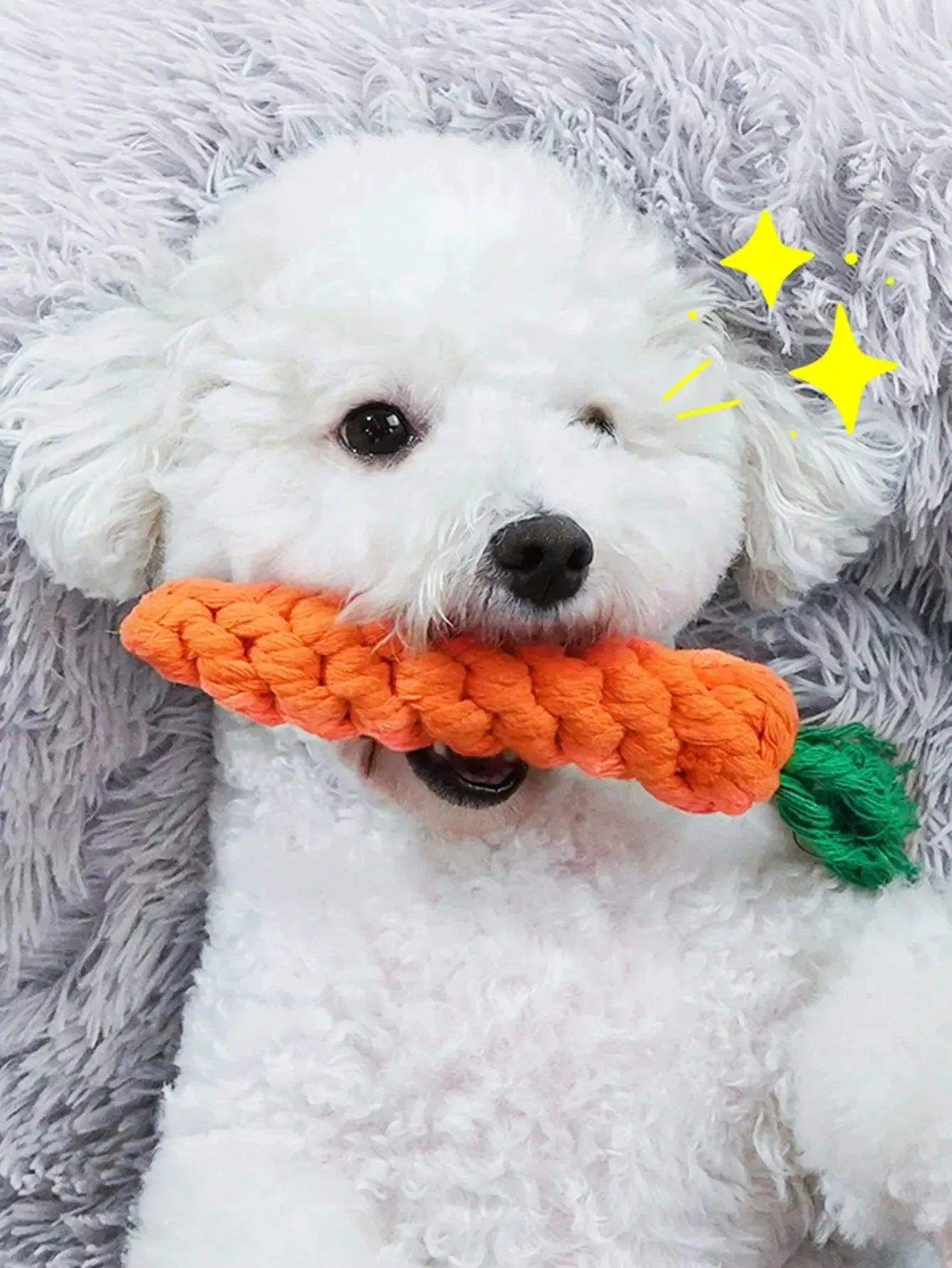Carrot Rope Chew Toy for Dogs