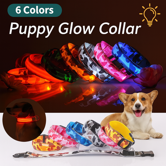 Rechargeable LED Dog Collar for Night Safety