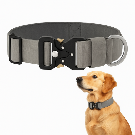 Tactical Dog Collar with Handle & Metal Buckle