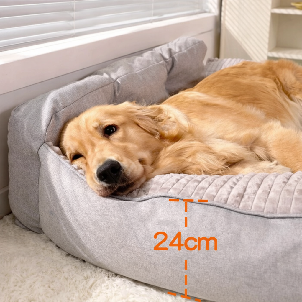 Plush Sofa Dog Bed | Washable & Supportive
