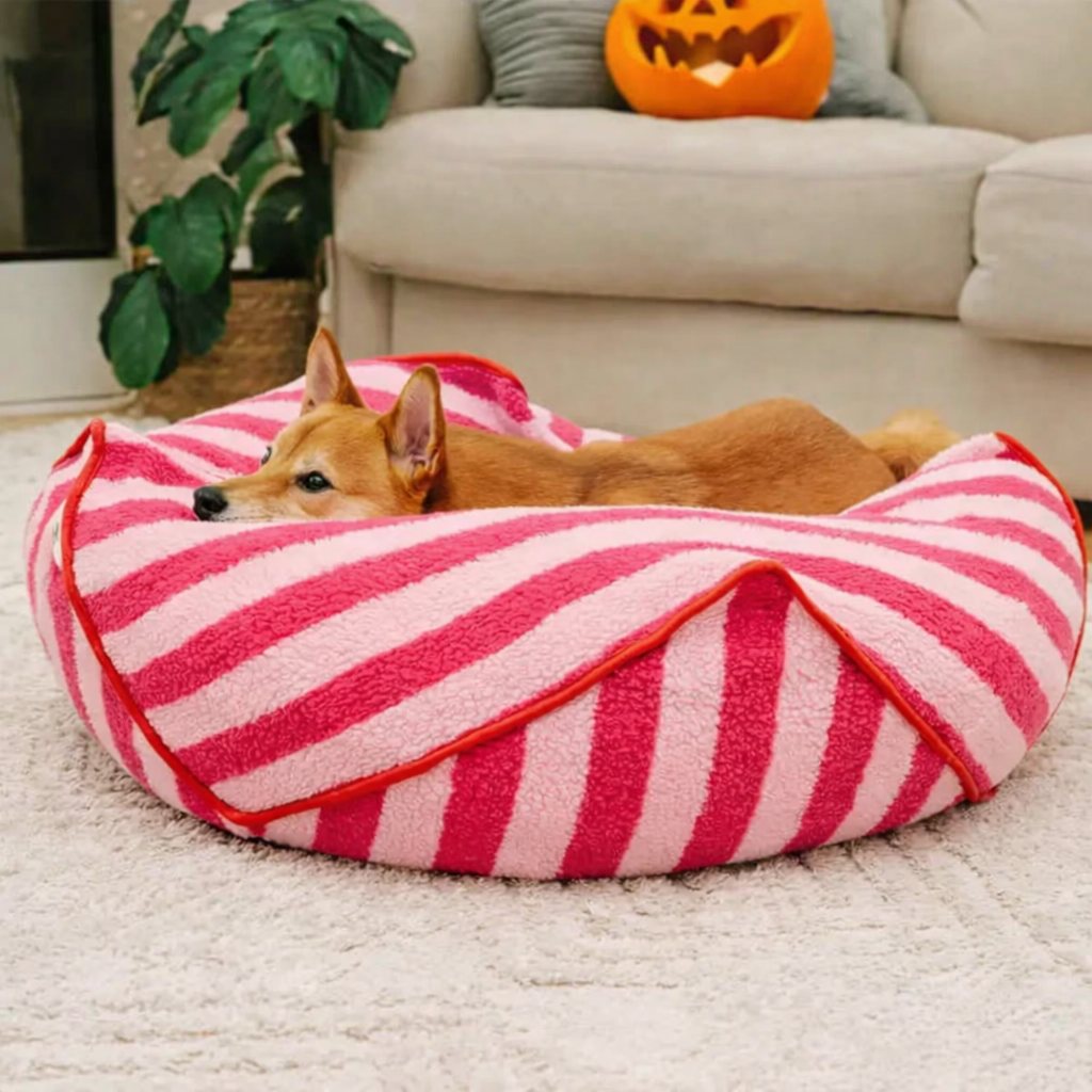 Calming Cloud Bean Bag Dog Bed | Washable & Soft Support
