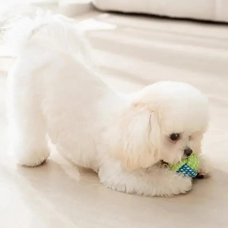 Colorful Dog Chew Toy Set for Dental Health and Play