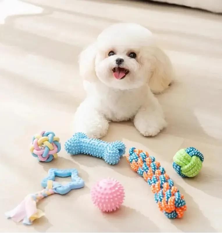 Colourful Dog Chew Toy Set for Dental Health and Play