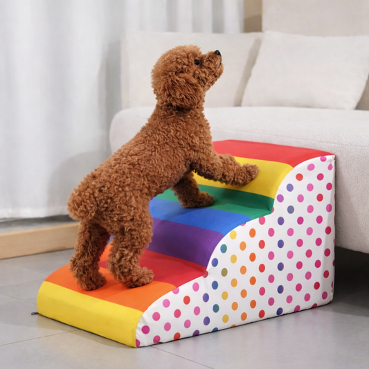 Colourful luxury dog stairs with washable cover