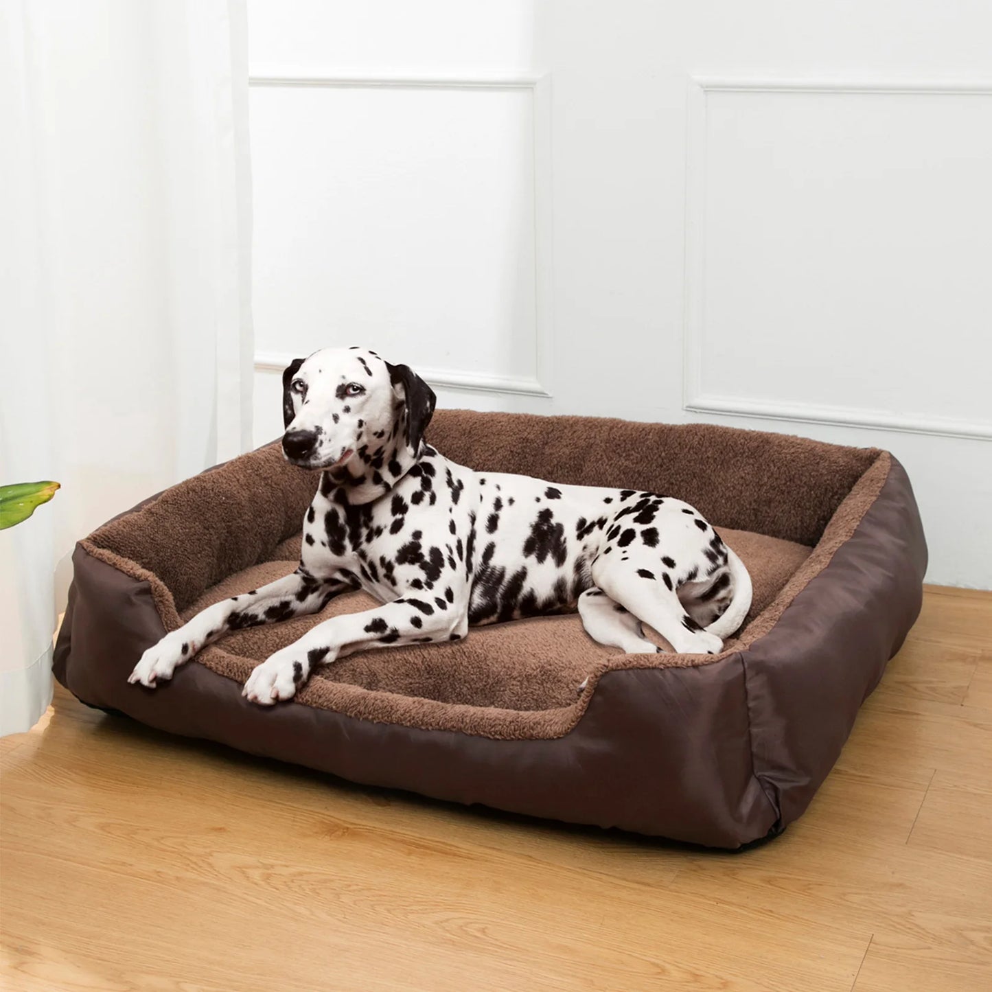 Comfort Edge Dog Bed