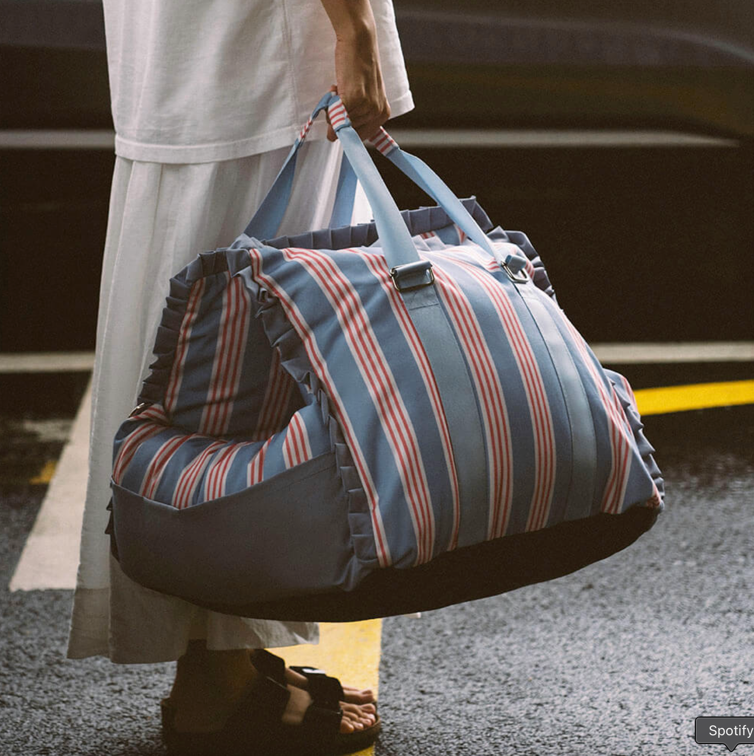 Dog Car Seat Bed | Waterproof