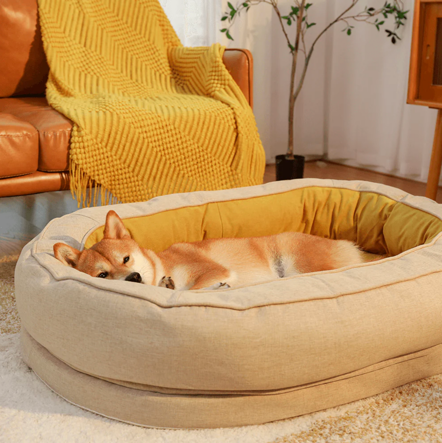 Donut Dog Bed - Washable