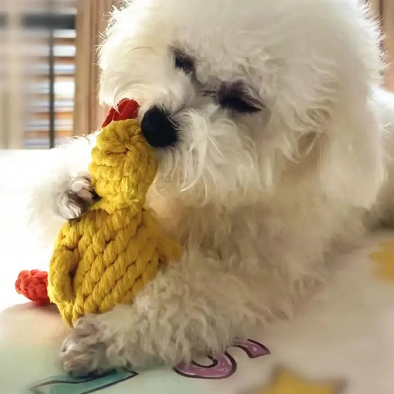 Duck Rope Chew Toy for Dogs