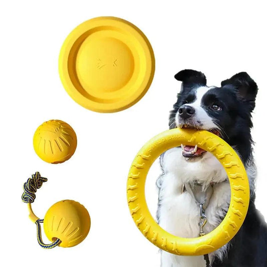 Durable Dog Toy Set – Flying Disc, Ball, Tug & Pull Ring