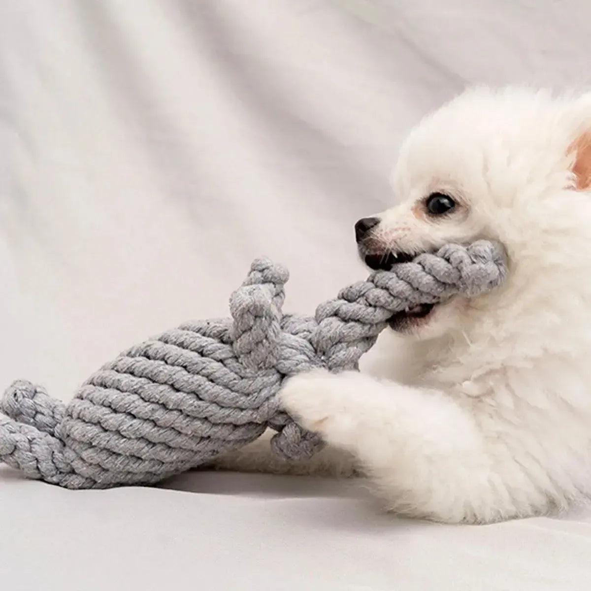 Elephant Rope Chew Toy for Dogs