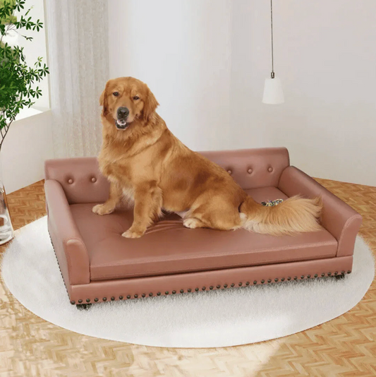 Elevated Luxury Dog Sofa Bed | Waterproof & Orthopedic