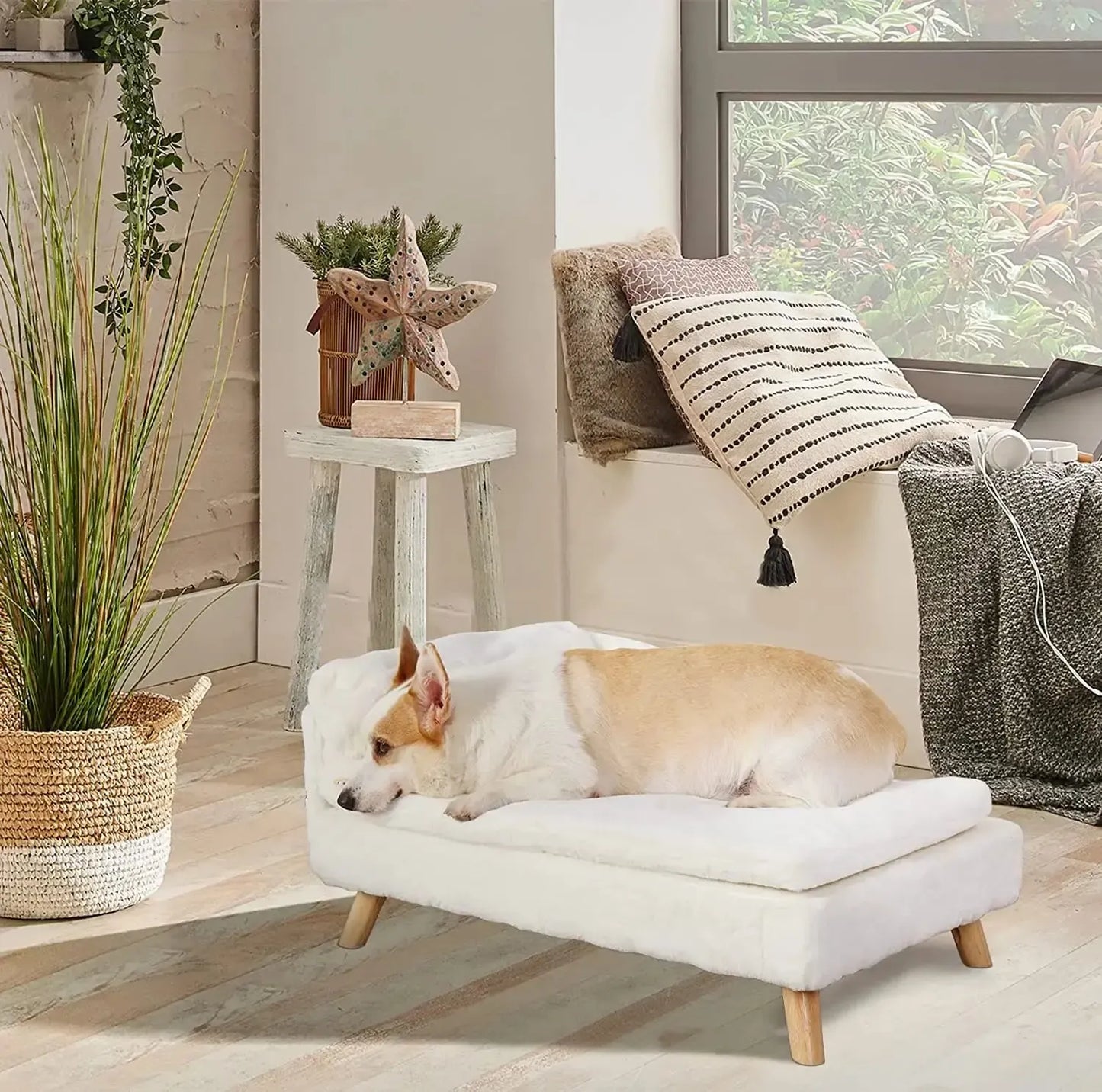 Elevated Small Dog Sofa Bed | With Orthopedic Cushion & Waterproof Cover