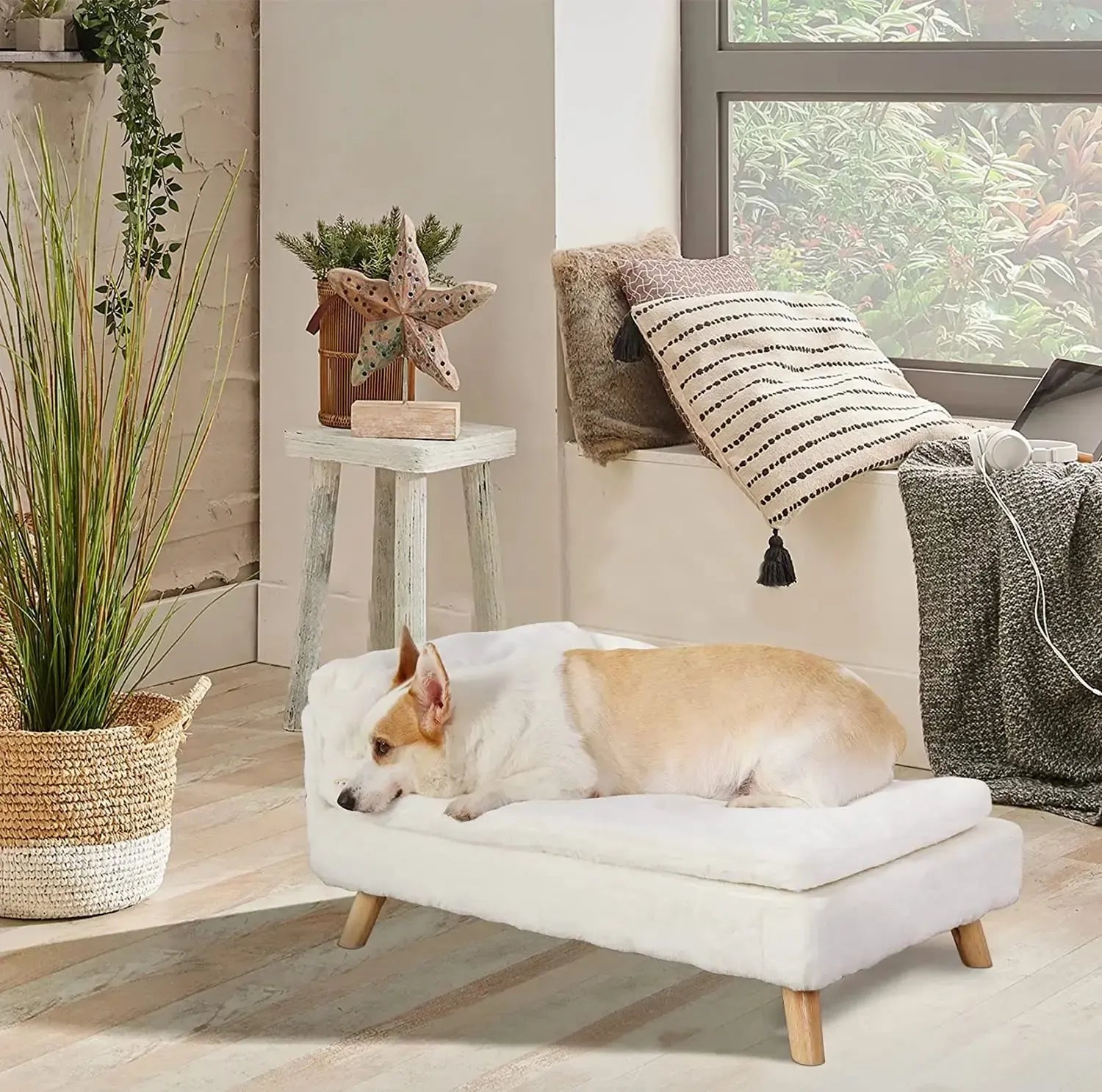 Elevated Small Dog Sofa Bed | With Orthopedic Cushion & Waterproof Cover