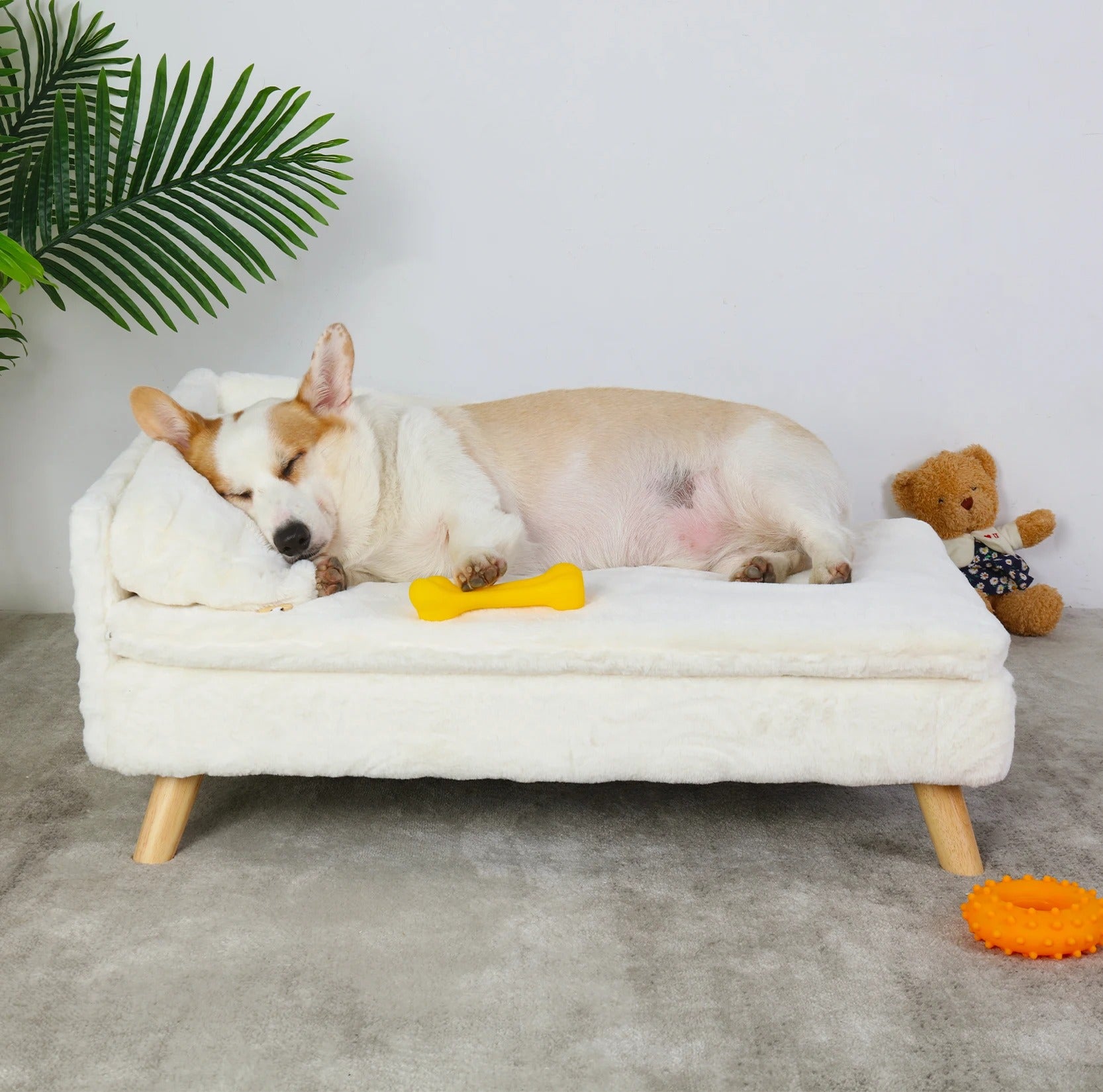 Elevated Small Dog Sofa Bed | With Orthopedic Cushion & Waterproof Cover